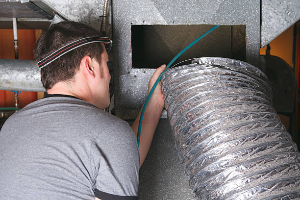 Best Dryer Vent Cleaning Services  in Randolph, NE