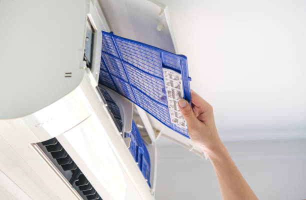 Best Local Air Duct Cleaning Services  in Randolph, NE