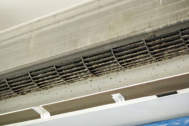 Best Air Duct Cleaning Near Me  in Randolph, NE